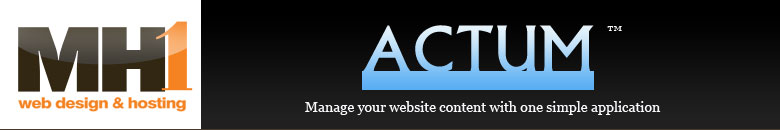 affordable custom web design, the woodlands texas, woodlands web hosting, search engine marketing, houston web designer, web development
